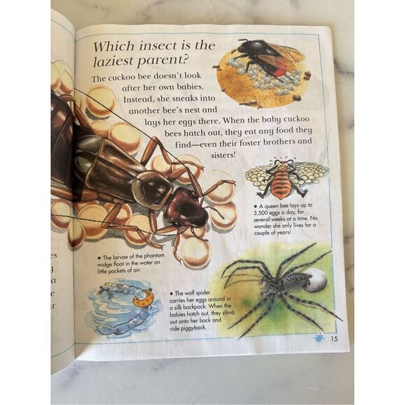 I wonder why Spiders Spin Webs & Other Questions About Creepy Crawlers children’ - Picture 2 of 5